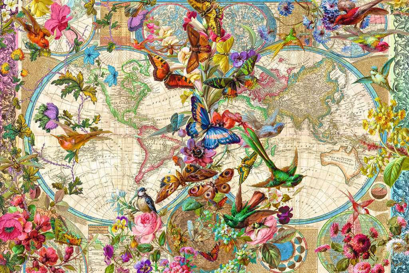 3000 Weltkarte Schmetterlinge
